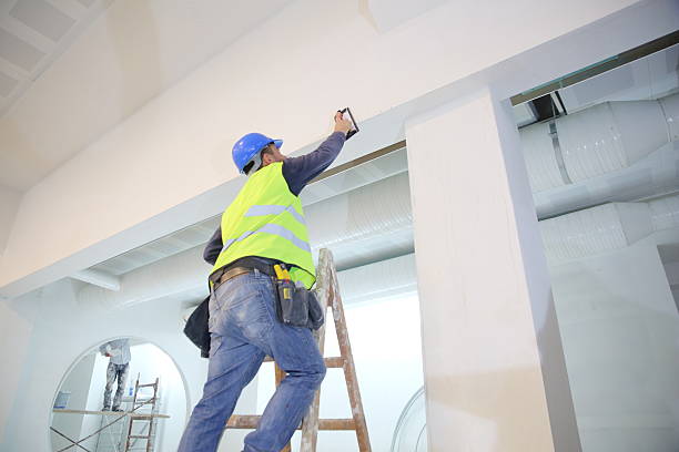 Trusted Sturgis, SD Mold Removal Experts